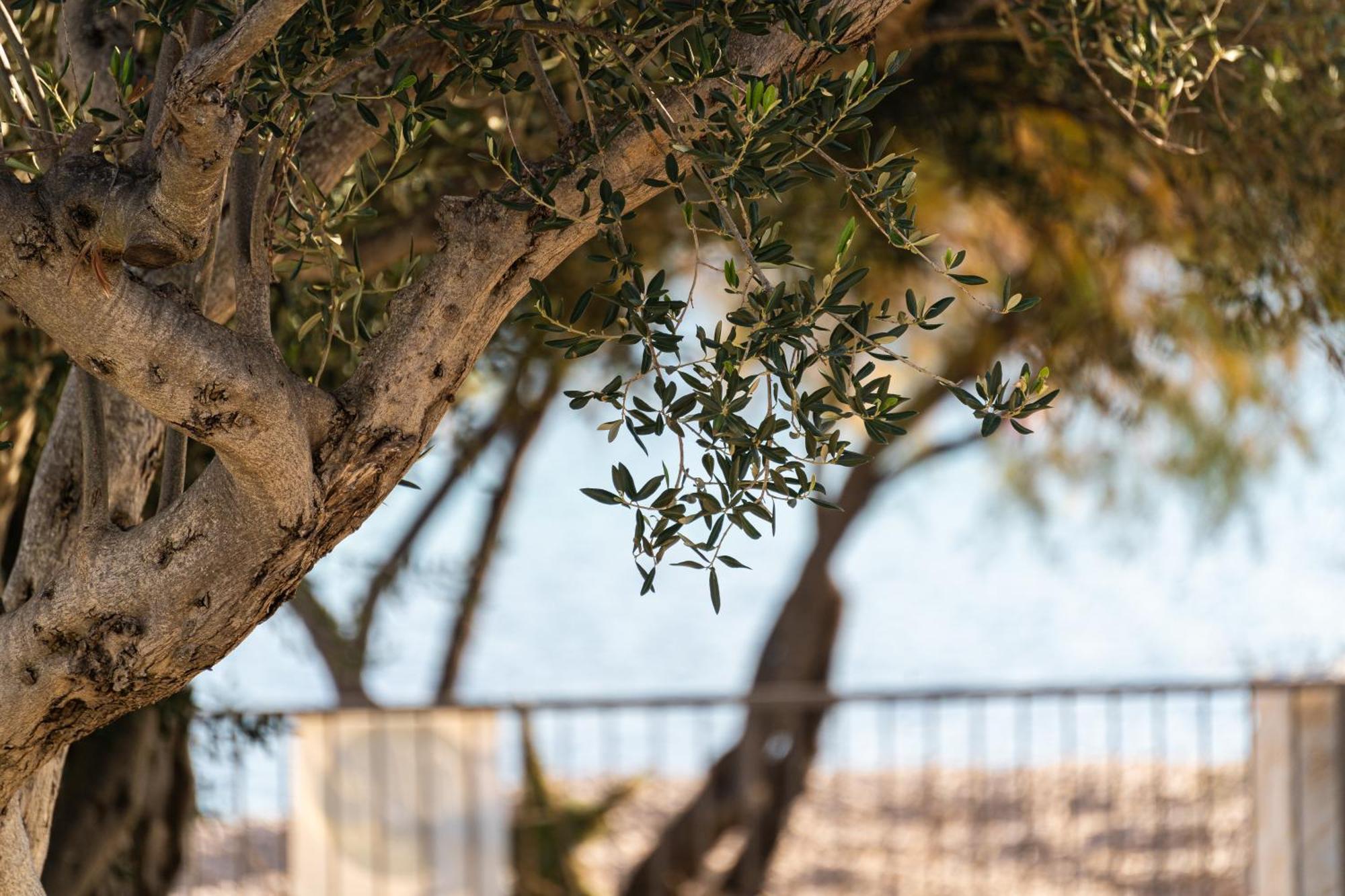 O'Life Boutique Apartments Vodice Buitenkant foto